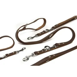Articles Pour Animaux De Compagnie-vidaXL Beeztees Laisse de dressage Cuir 200x1,2 cm 736401 Marron