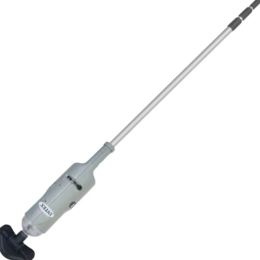 Piscine & Spa-vidaXL Intex Aspirateur rechargeable pour spa et piscine