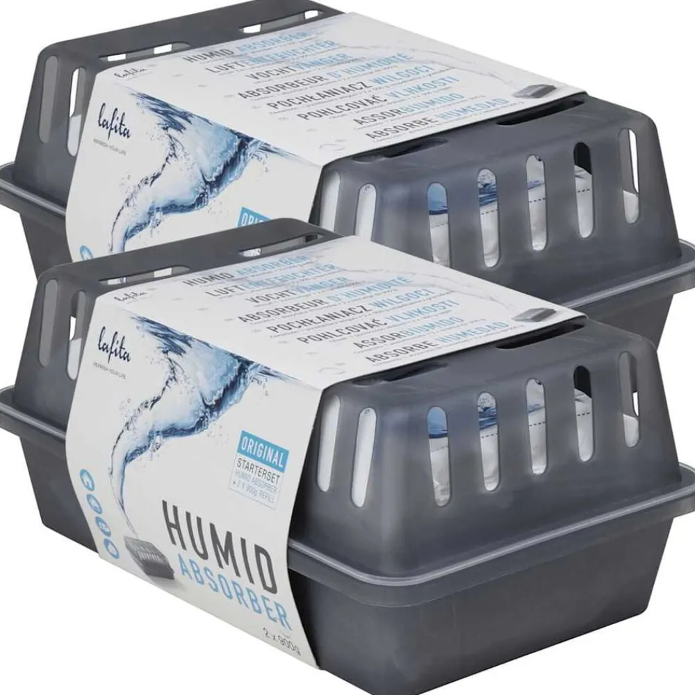 Produits Ménagers-vidaXL Lafita Absorbeurs d'humidité avec sacs de recharge 2 pcs 900 g
