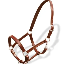 vidaXL Licol Licou en cuir réglable pour écurie Poney