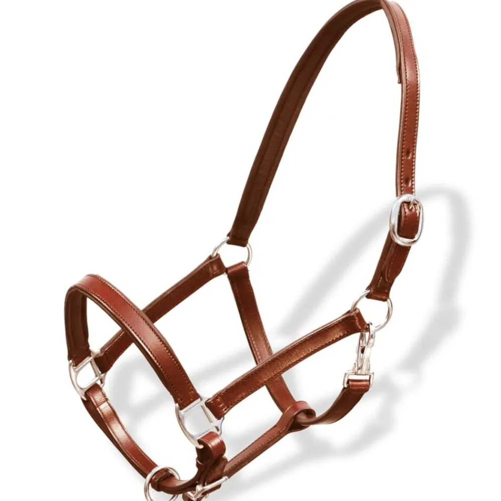 vidaXL Licol Licou en cuir réglable pour écurie Poney