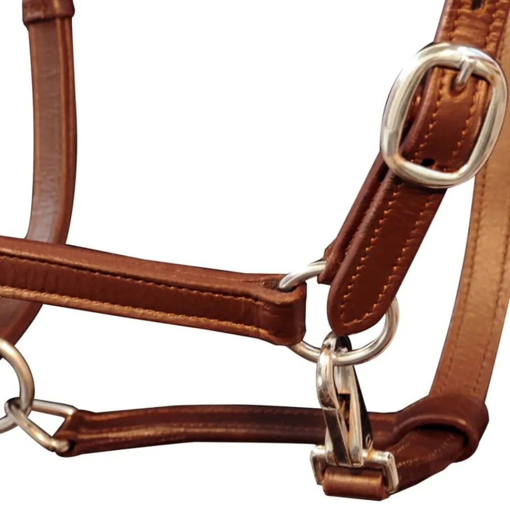 vidaXL Licol Licou en cuir réglable pour écurie Poney