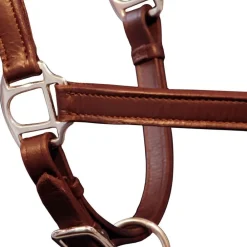vidaXL Licol Licou en cuir réglable pour écurie Poney