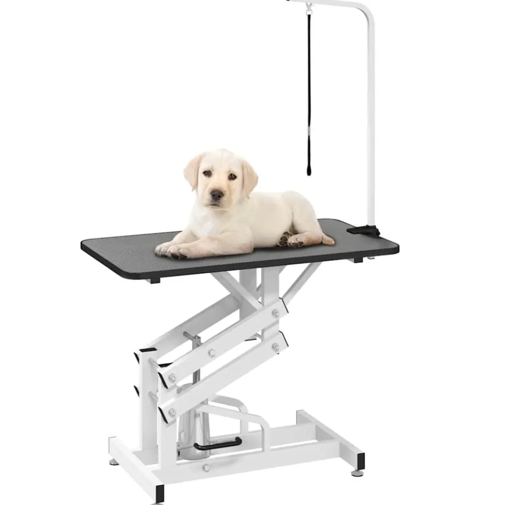 vidaXL Table Toilettage Ajustable Hydraulique pour Chiens Chats Animaux