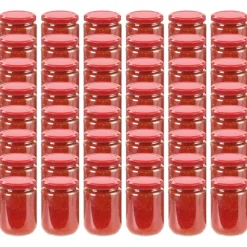 Arts De La Table & Arts Culinaires-vidaXL 48 pcs Pots à confiture avec couvercle Verre 230 ml Rouge