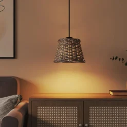 Accessoires Pour Luminaires-vidaXL Abat-jour de plafonnier Ø15x12 cm osier Marron