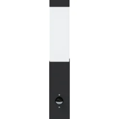 Luminaires-vidaXL Applique Murale Extérieure 10.5 x 6 x 33 cm Noir