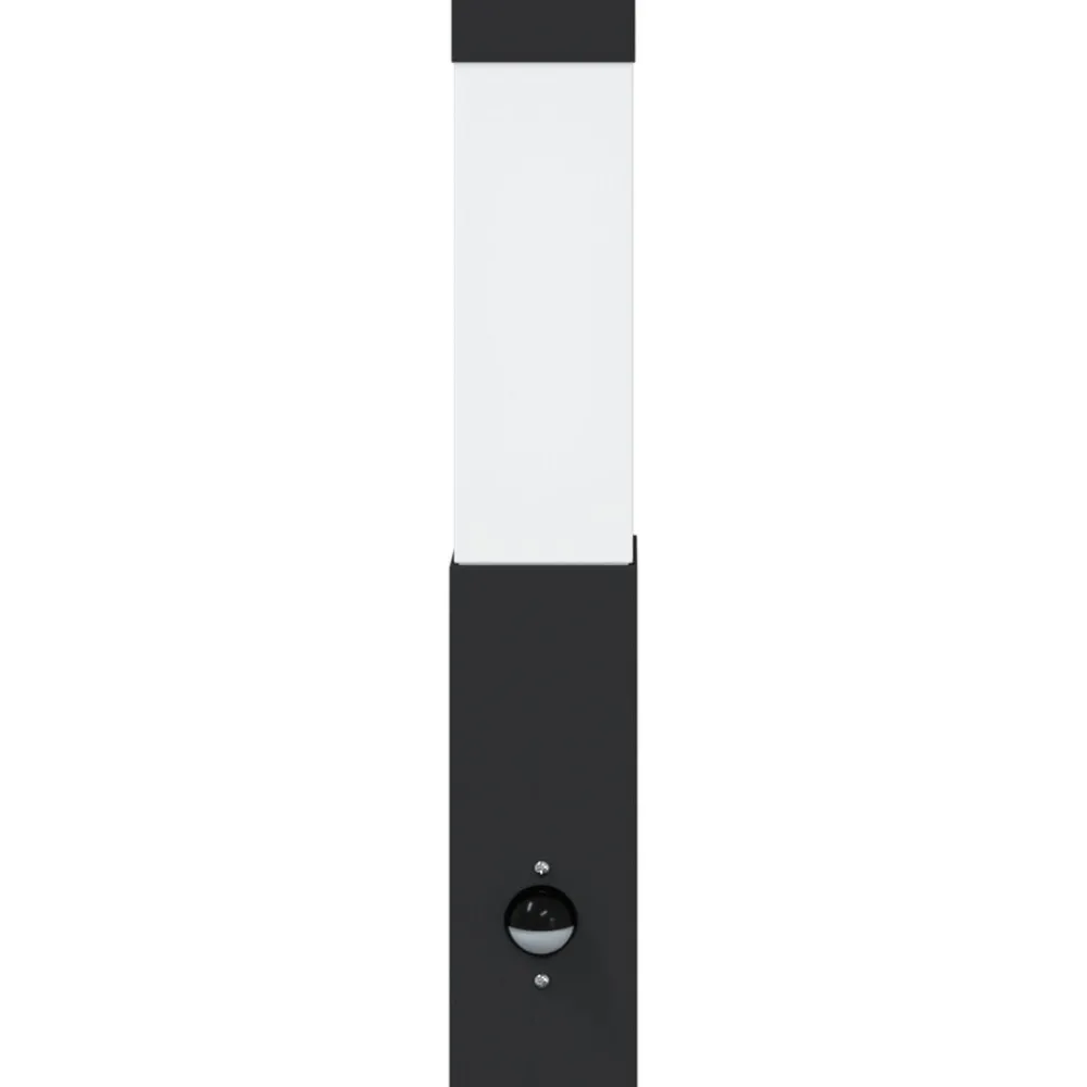 Luminaires-vidaXL Applique Murale Extérieure 10.5 x 6 x 33 cm Noir