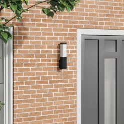 Luminaires-vidaXL Applique Murale Extérieure 10.5 x 6 x 33 cm Noir
