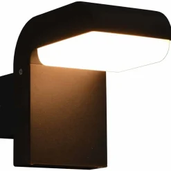 Luminaires-vidaXL Applique murale LED d'extérieur 9 W Noir Ovale