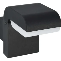 Luminaires-vidaXL Applique murale LED d'extérieur 9 W Noir Ovale