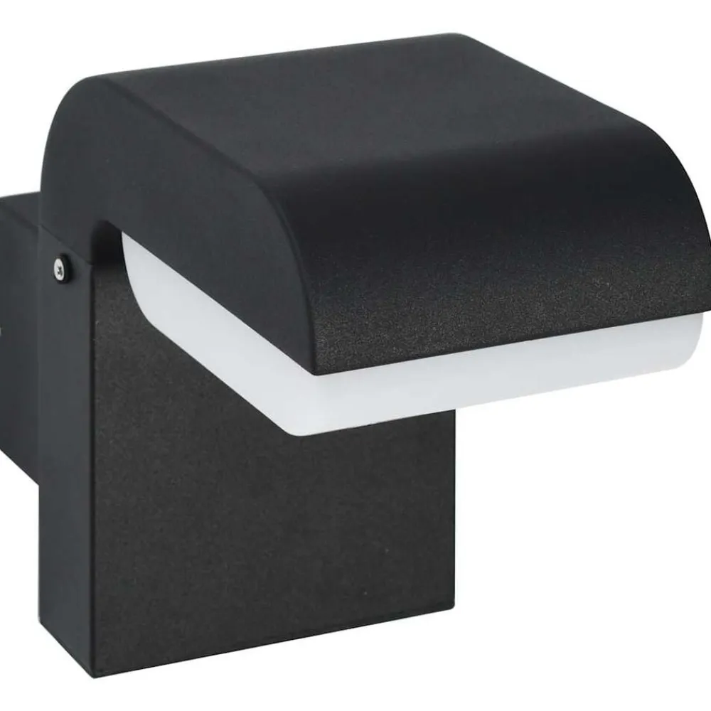 Luminaires-vidaXL Applique murale LED d'extérieur 9 W Noir Ovale