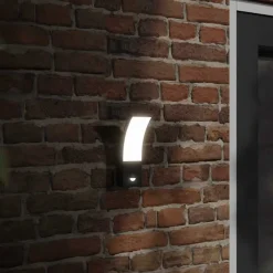 Luminaires-vidaXL Appliques murales LED d'extérieur avec capteurs 2 pcs Noir