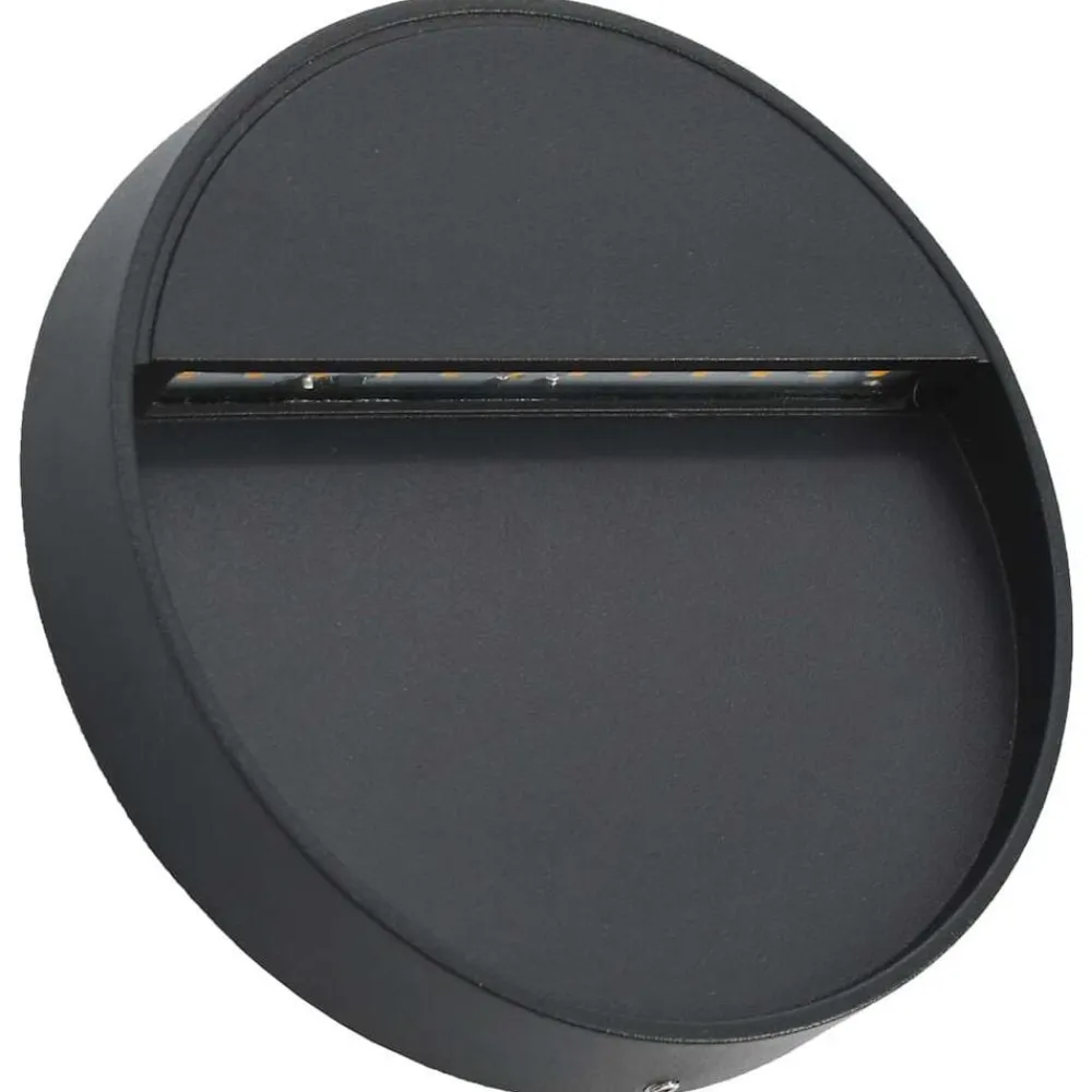 vidaXL Appliques murales à LED d'extérieur 2 pcs 3 W Noir Rond