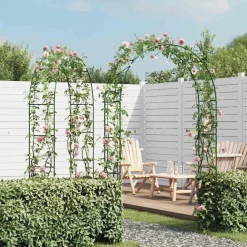 vidaXL Arche de jardin 2 pcs pour plantes grimpantes