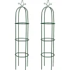 Pelouses & Jardins-vidaXL Arche de jardin en forme de tour 2 pcs