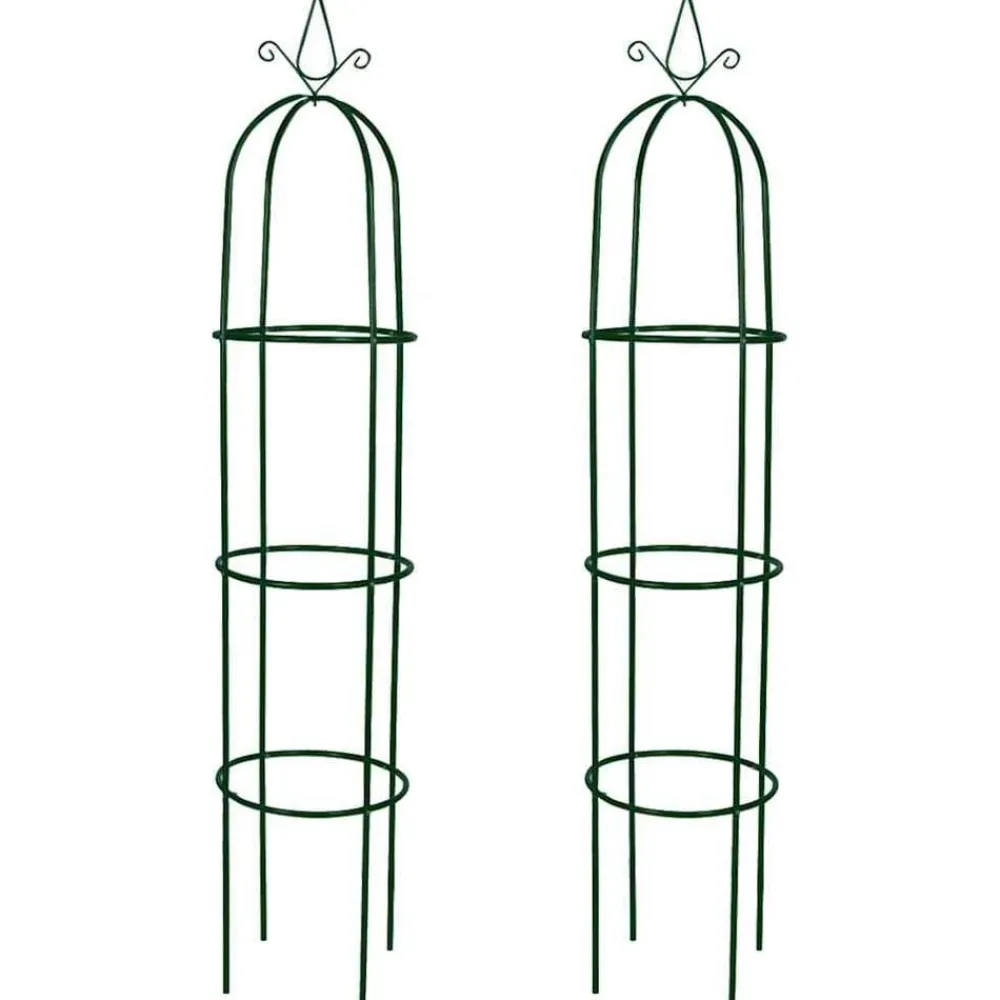 Pelouses & Jardins-vidaXL Arche de jardin en forme de tour 2 pcs