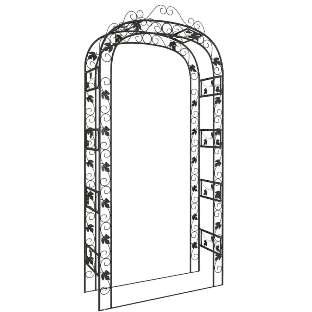 vidaXL Arche de jardin Noir 116x45x240 cm Acier