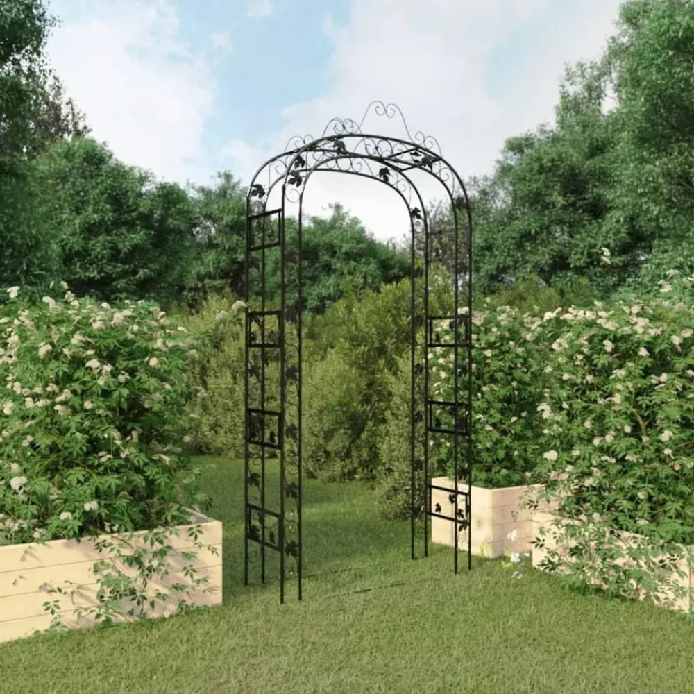 vidaXL Arche de jardin Noir 116x45x240 cm Acier