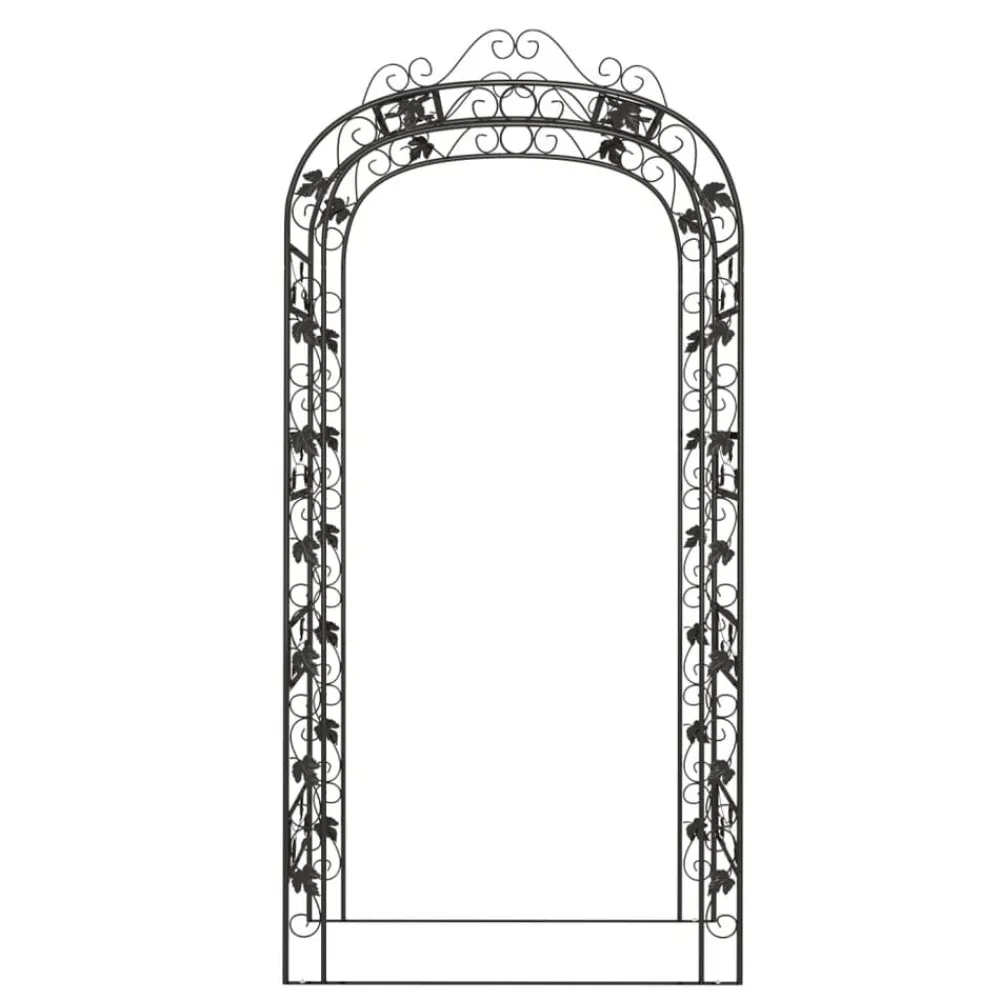 vidaXL Arche de jardin Noir 116x45x240 cm Acier