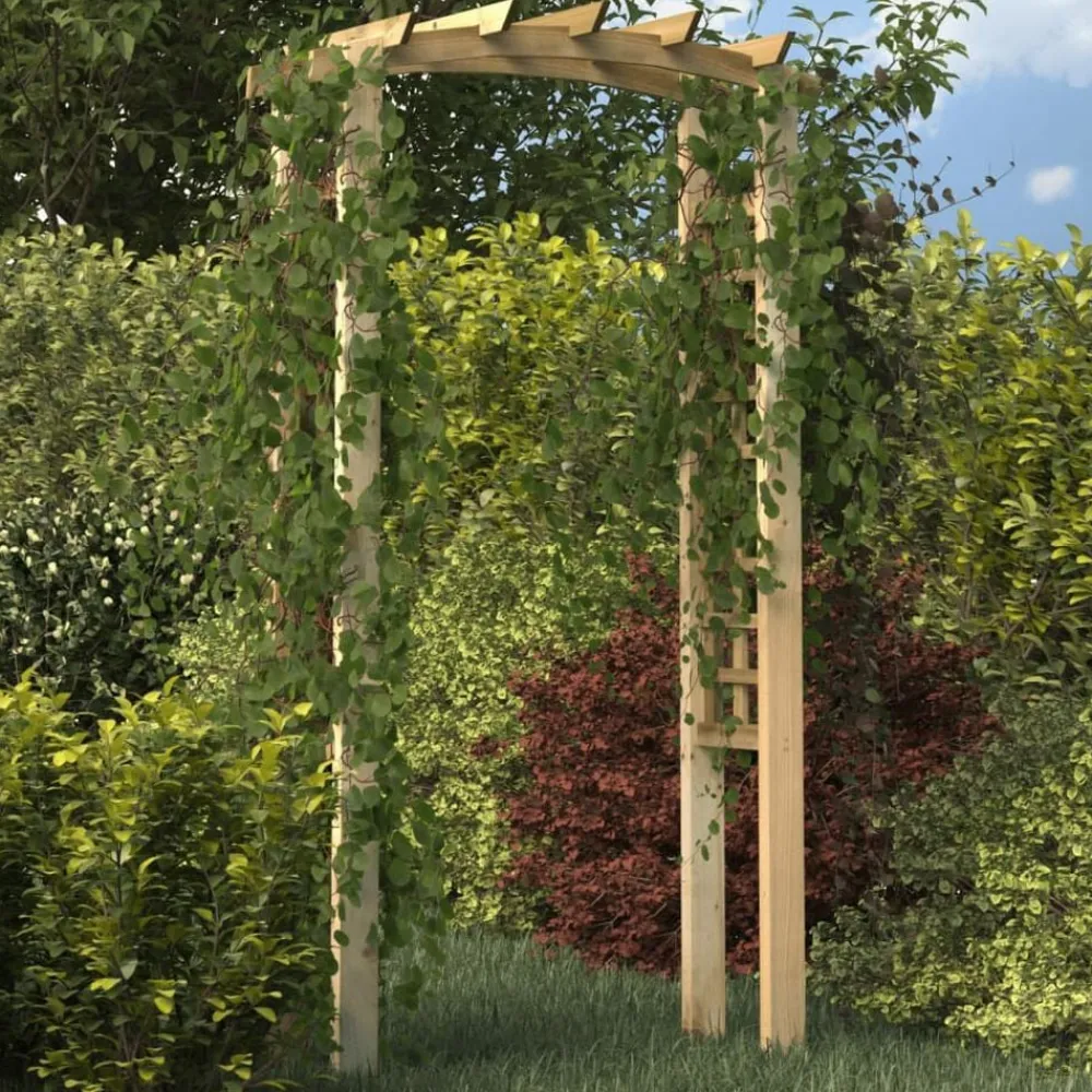 vidaXL Arche en treillis 110x60x210 cm Bois de pin massif imprégné