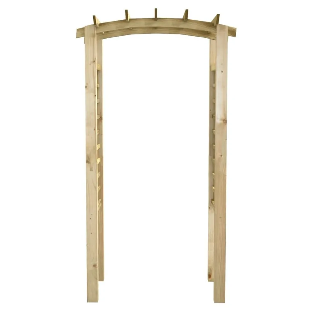 vidaXL Arche en treillis 110x60x210 cm Bois de pin massif imprégné