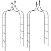 Pelouses & Jardins-vidaXL Arches de jardin 2 pcs Noir 120x38x260 cm Acier
