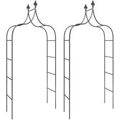 Pelouses & Jardins-vidaXL Arches de jardin 2 pcs Noir 120x38x260 cm Acier