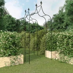 Pelouses & Jardins-vidaXL Arches de jardin 2 pcs Noir 120x38x260 cm Acier