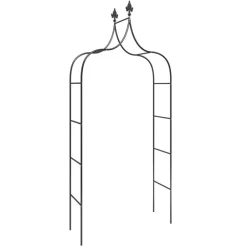 Pelouses & Jardins-vidaXL Arches de jardin 2 pcs Noir 120x38x260 cm Acier