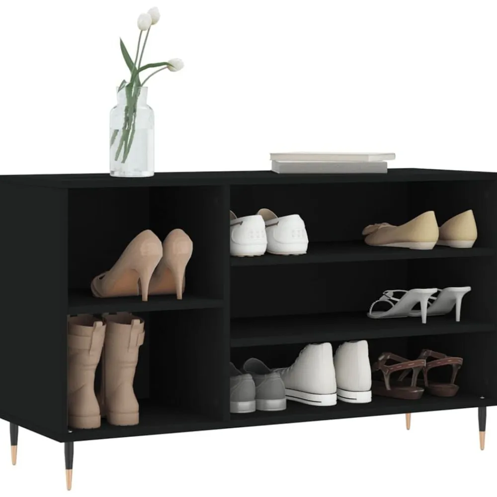 Produits Ménagers-vidaXL Armoire à chaussures 102x36x60 cm Bois d'ingénierie Noir