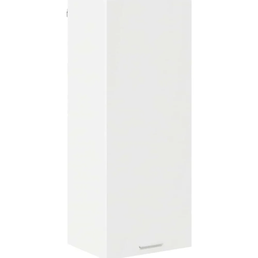 vidaXL Armoire suspendue 40 x 31 x 100 cm Bois d'ingénierie