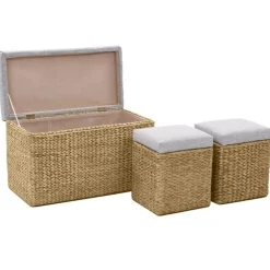Bancs-vidaXL Banc avec 2 poufs Jacinthe d'eau Gris