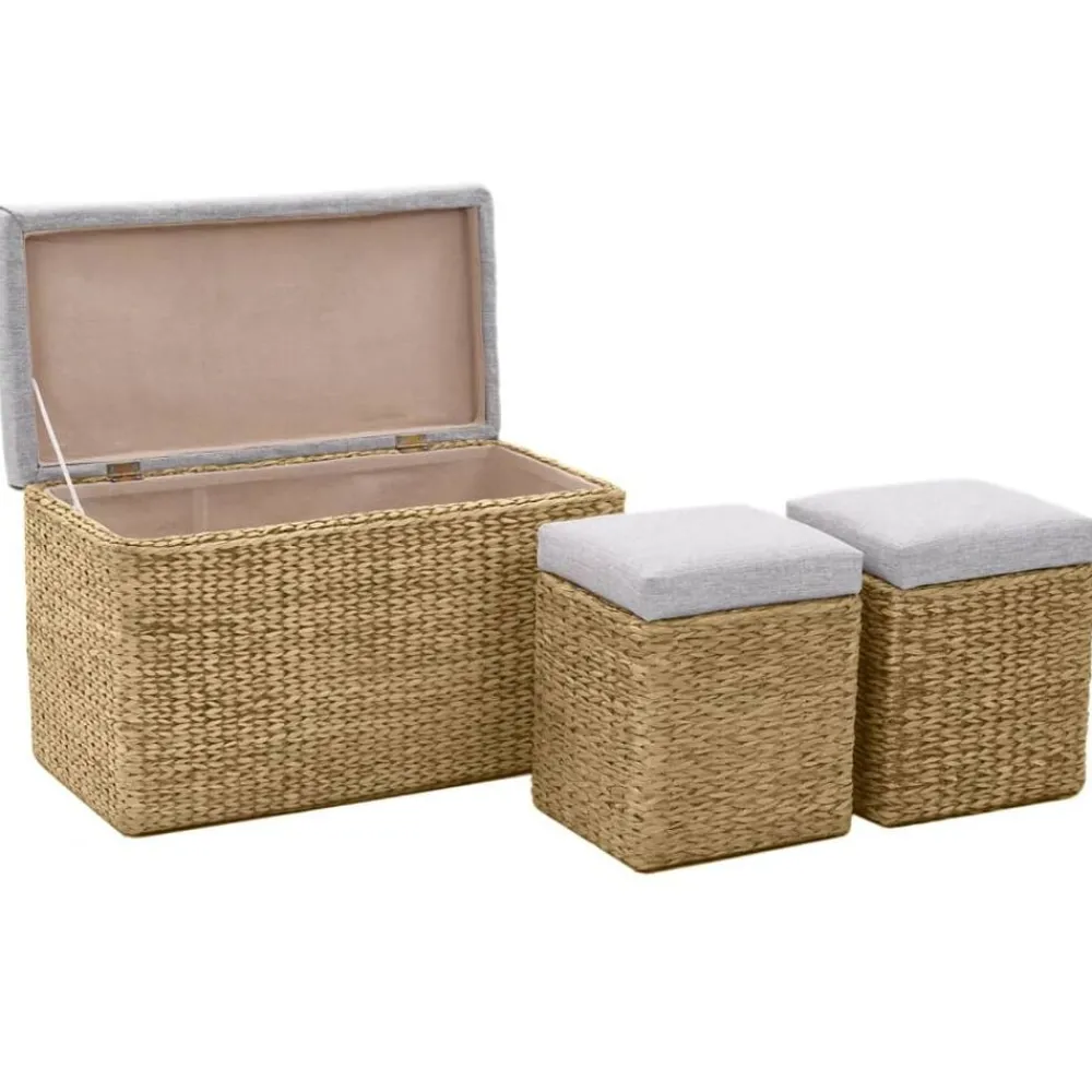 Bancs-vidaXL Banc avec 2 poufs Jacinthe d'eau Gris