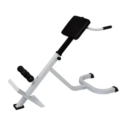 vidaXL Banc de musculation du dos