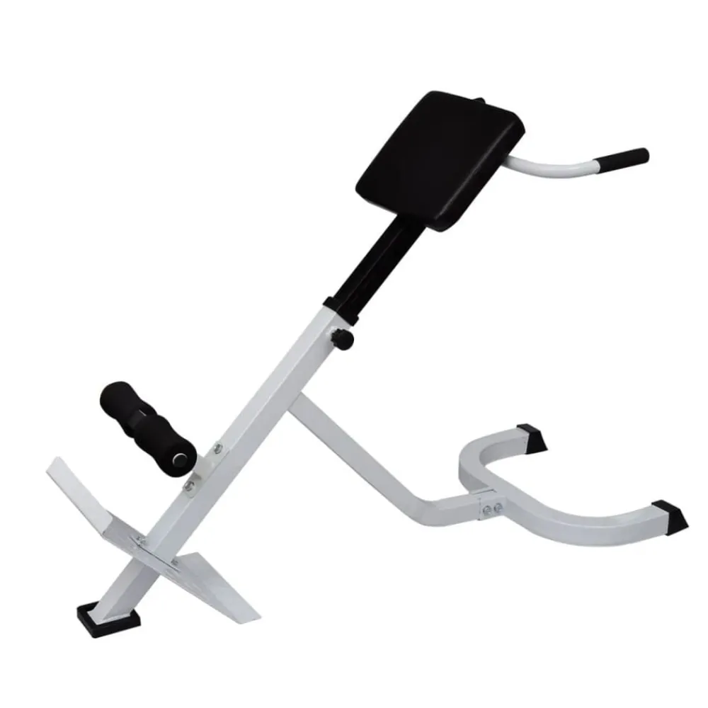 vidaXL Banc de musculation du dos