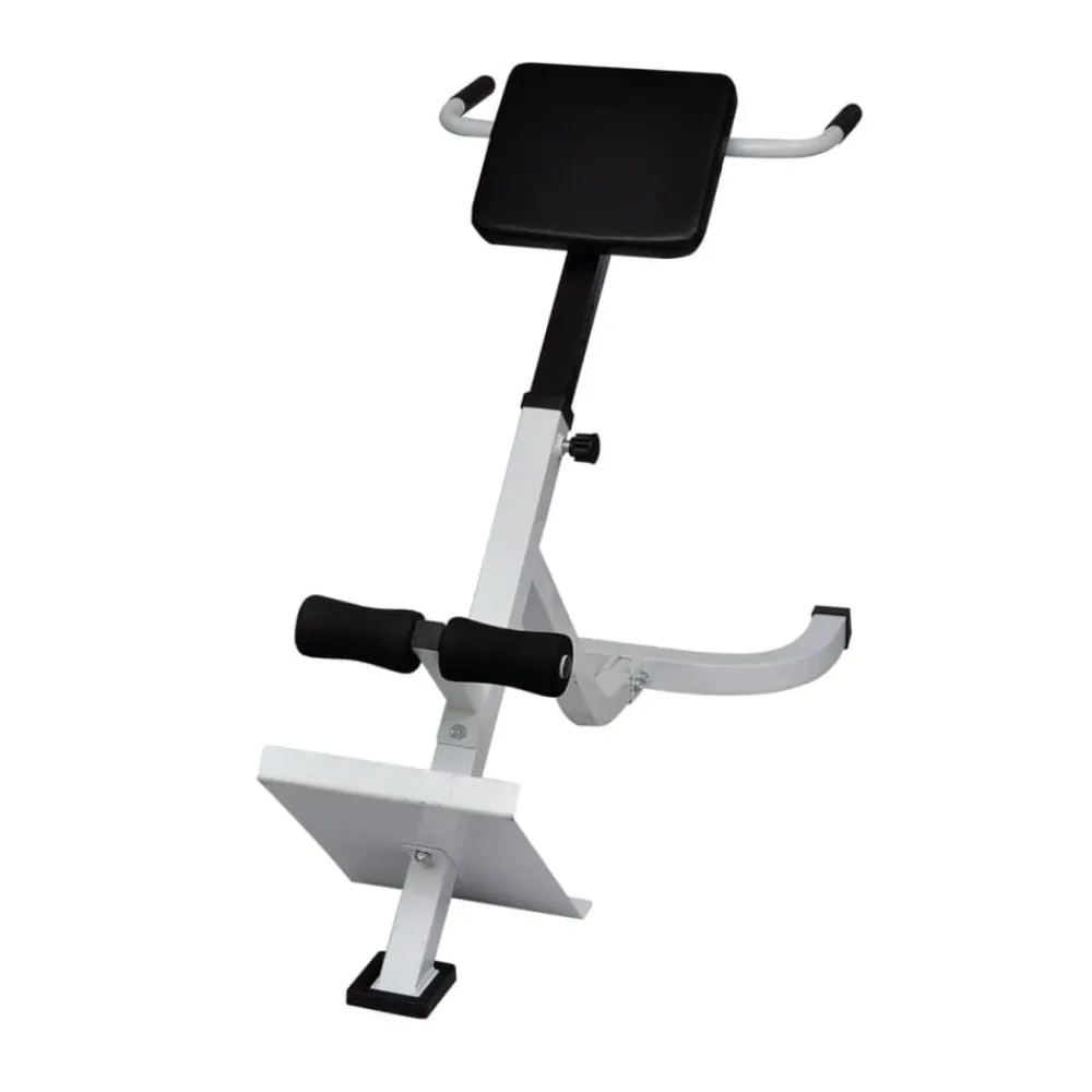 vidaXL Banc de musculation du dos