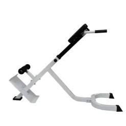 vidaXL Banc de musculation du dos