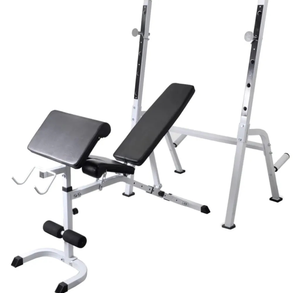 vidaXL Banc d'entraînement avec support de poids jeu d'haltères 120 kg