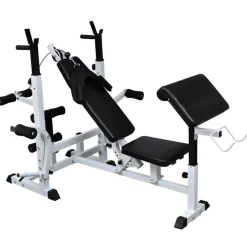 vidaXL Banc d'entraînement avec support de poids jeu d'haltères 120 kg
