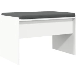Bancs-vidaXL Banc d'entrée avec coussin 63 x 38 x 40 cm Blanc