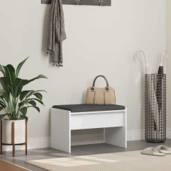 Bancs-vidaXL Banc d'entrée avec coussin 63 x 38 x 40 cm Blanc