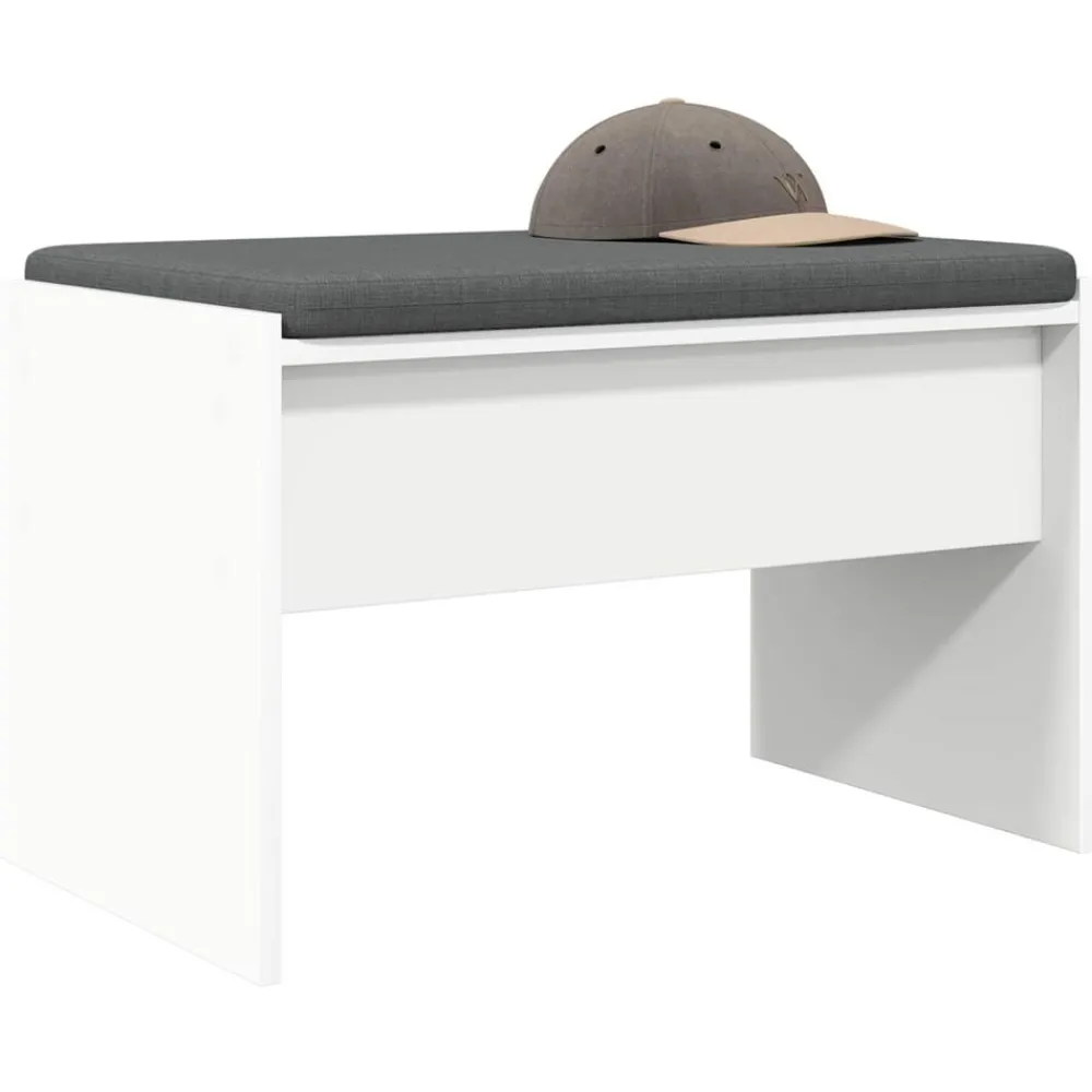 Bancs-vidaXL Banc d'entrée avec coussin 63 x 38 x 40 cm Blanc