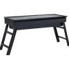 Arts De La Table & Arts Culinaires-vidaXL Barbecue portable de camping inoxydable 60x22,5x33 cm