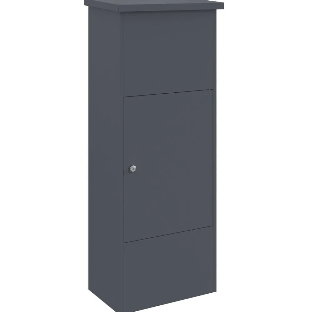 vidaXL Boîte de dépôt de colis 44,5 x 29 x 110,5 cm Acier