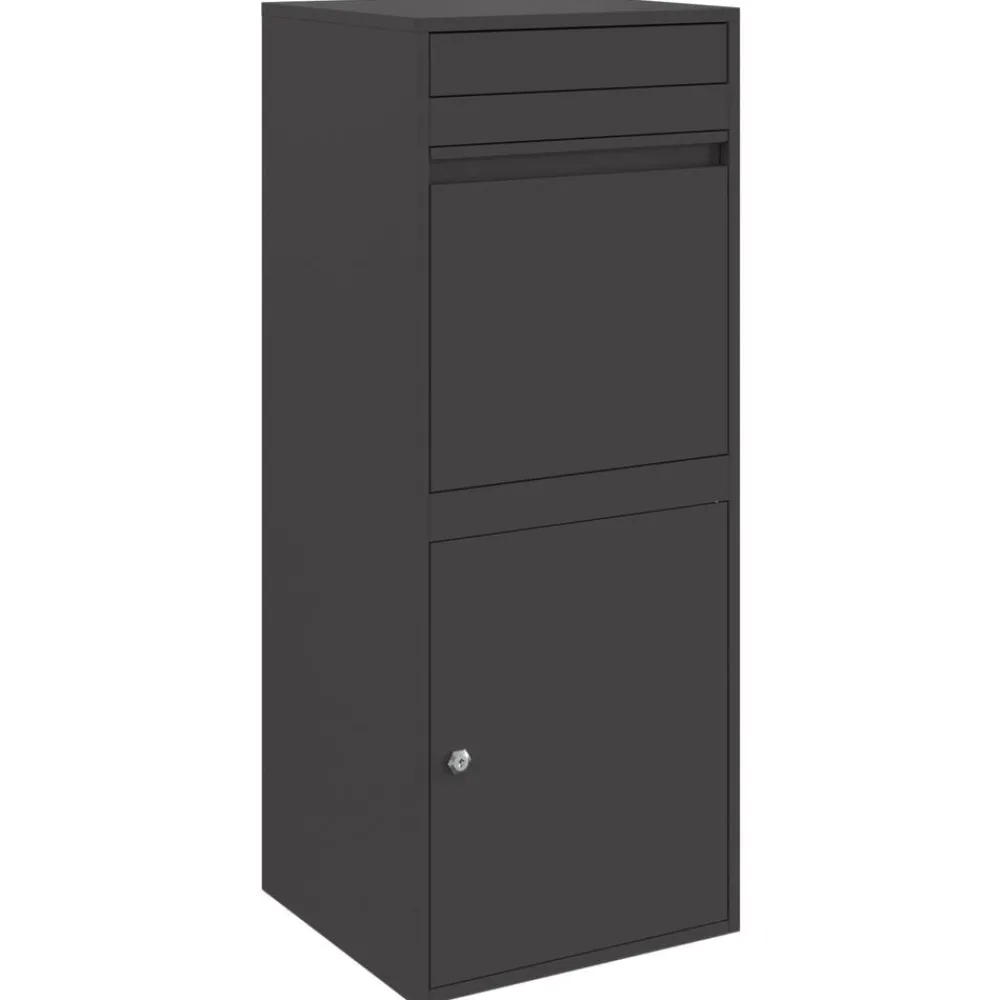 vidaXL Boîte de dépôt de colis avec porte 41 x 38 x 103 cm Acier