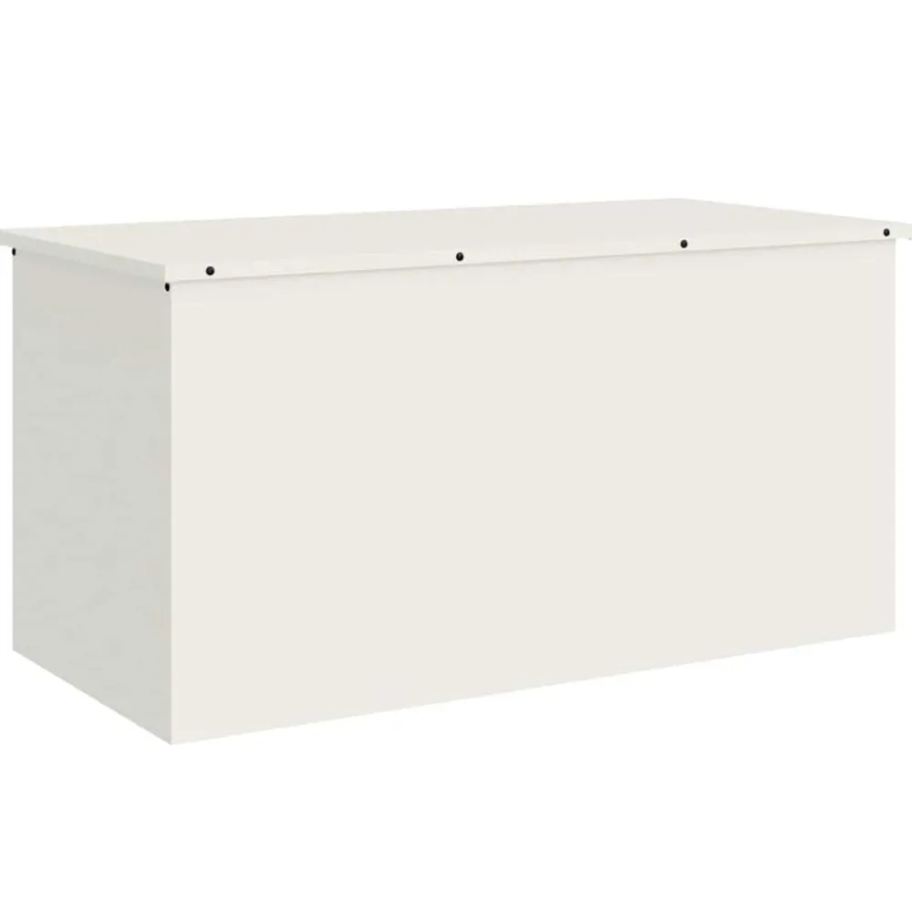 vidaXL Boîte de Rangement Extérieure 100 x 50,5 x 50 cm Acier