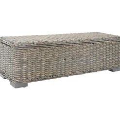 Bancs-vidaXL Boîte de rangement 110 cm Rotin kubu naturel et acajou Gris