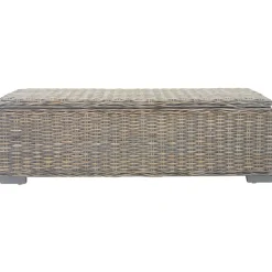 Bancs-vidaXL Boîte de rangement 110 cm Rotin kubu naturel et acajou Gris