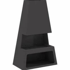 vidaXL Braise Noir 60 x 35 x 100 cm Acier
